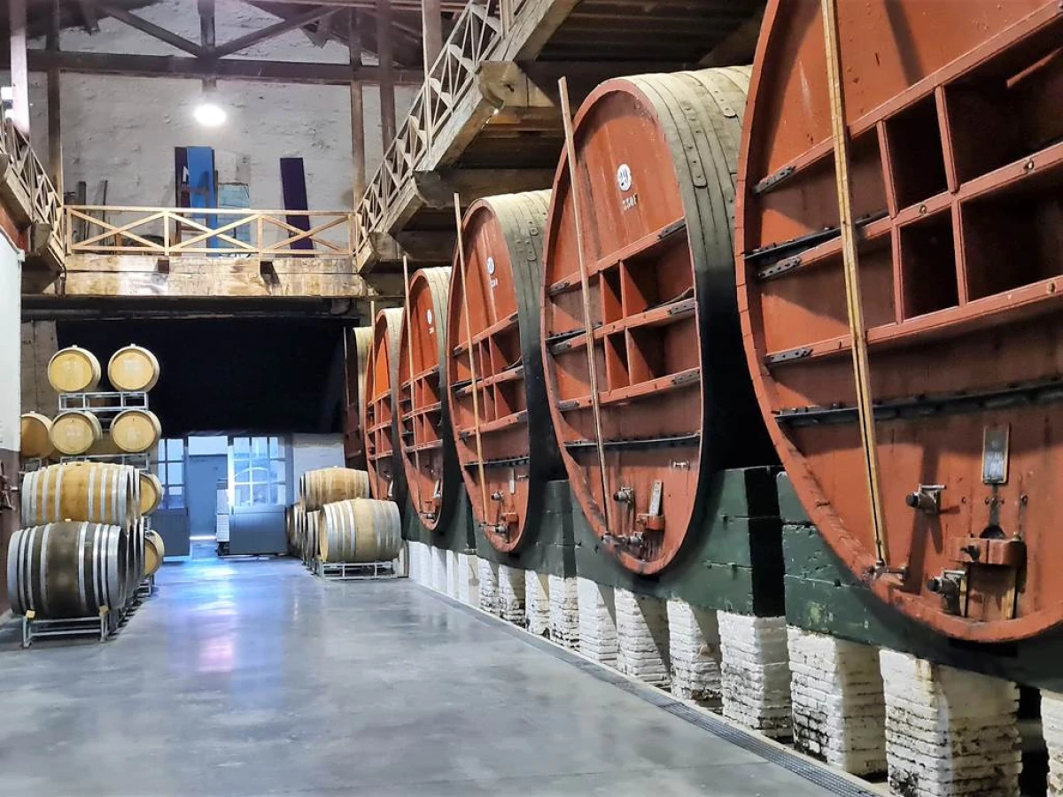 Excursion viticole - Terroirs cachés de l'arrière pays - Perpignan Expériences
