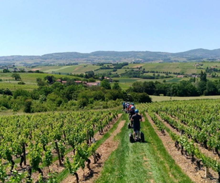 The green way - Perpignan Expériences