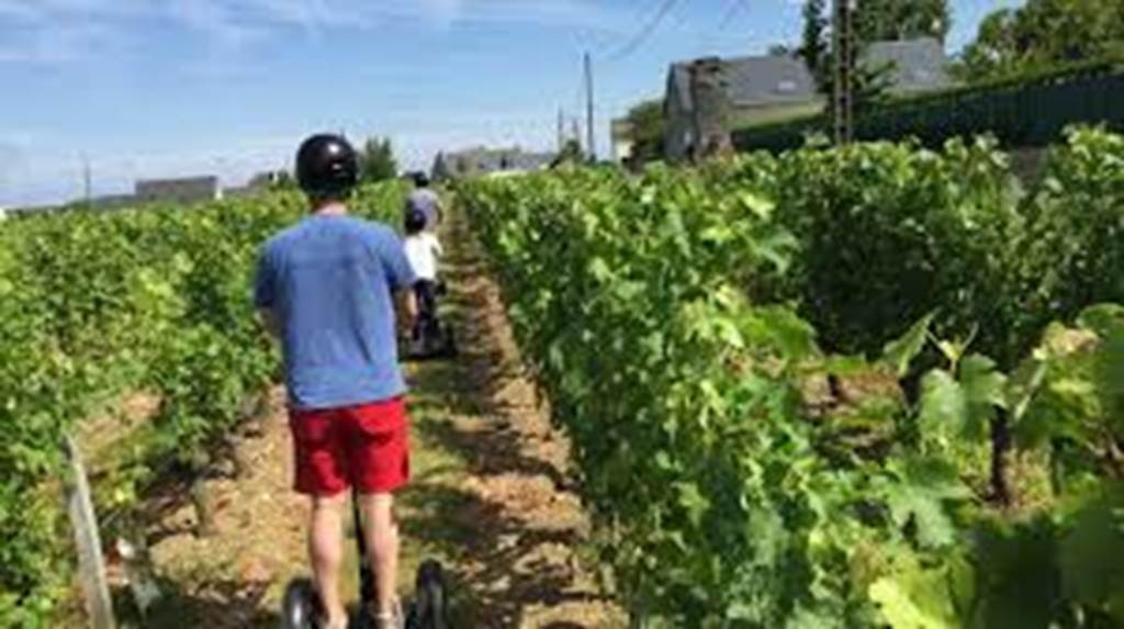 The green way - Perpignan Expériences