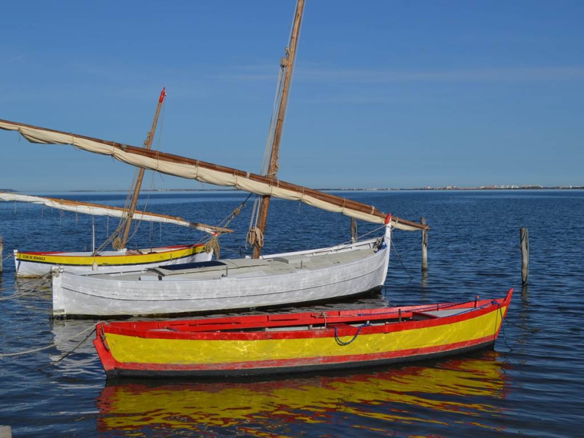 Traditions Catalanes Privatisé - Perpignan Expériences