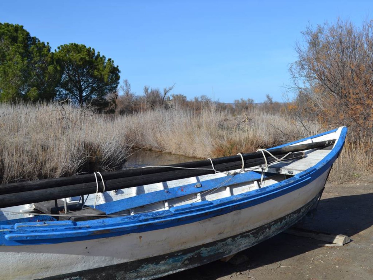 Traditions Catalanes Public - Perpignan Expériences