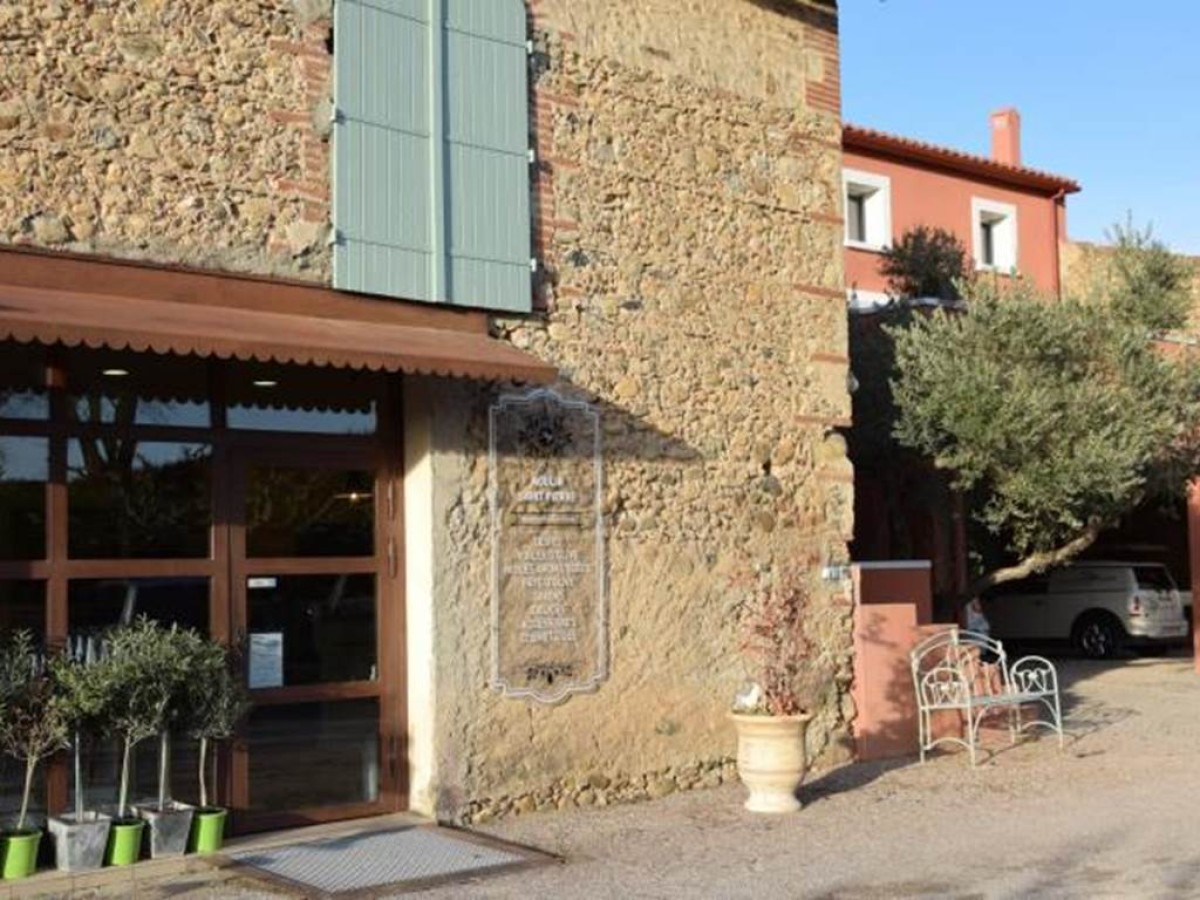 Une promenade originale Privatisé - Perpignan Expériences