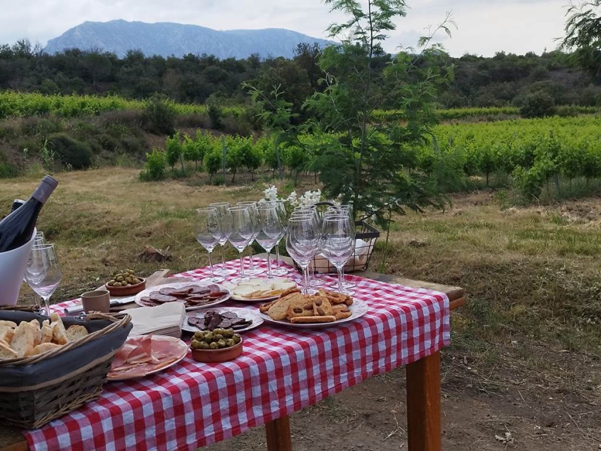 Vigneron d'un jour - Perpignan Expériences