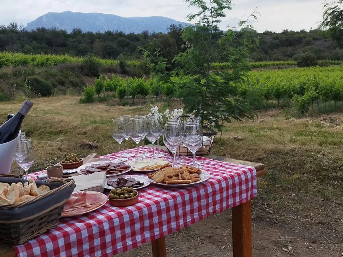 Vigneron d'un jour à St Paul de Fenouillet - Perpignan Expériences