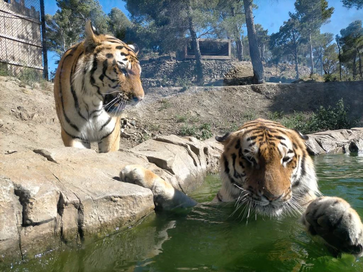 Visite de l'Écoparc animalier - EcoZonia - Perpignan Expériences