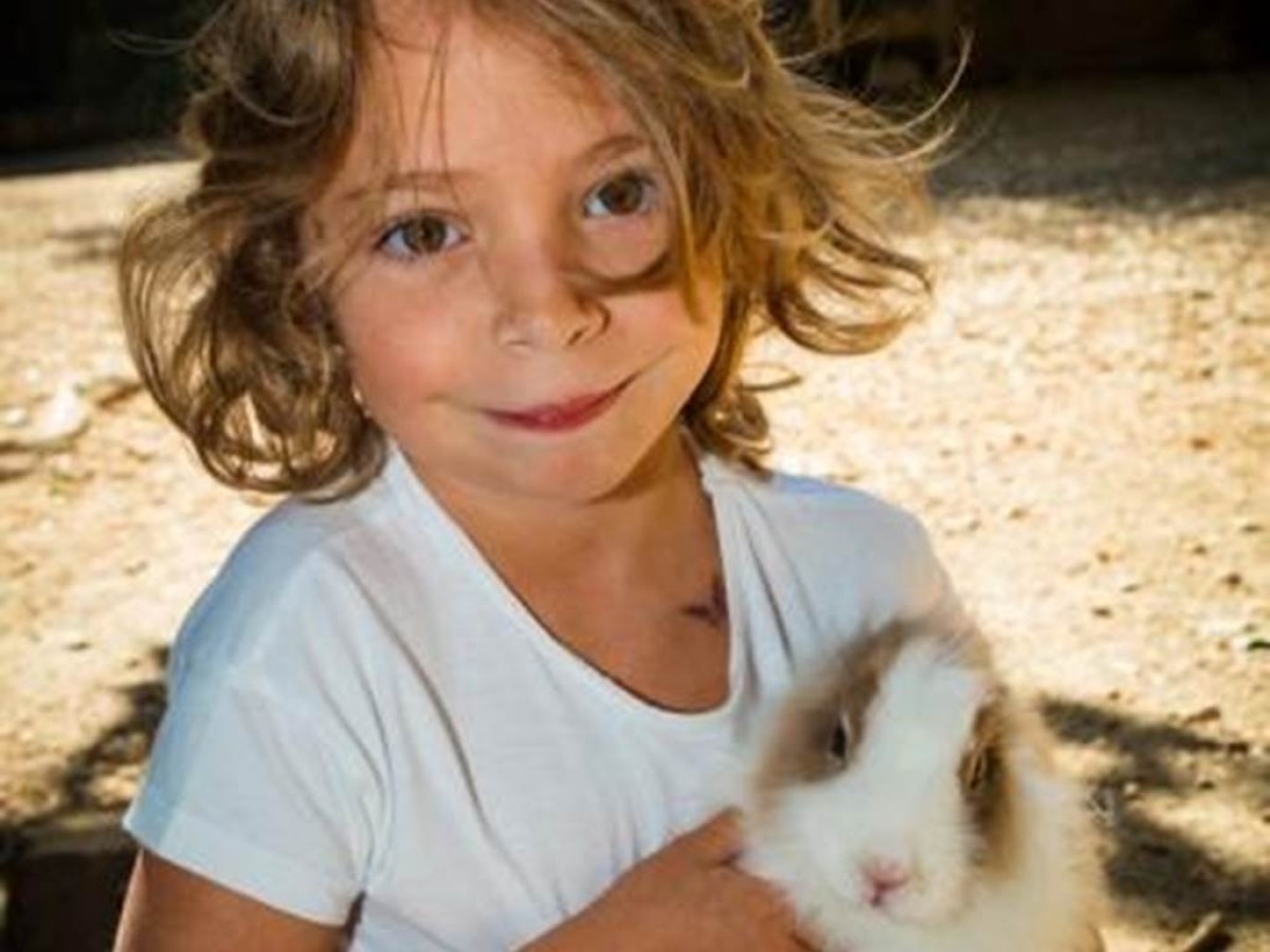 Visite de la ferme à St André - Perpignan Expériences