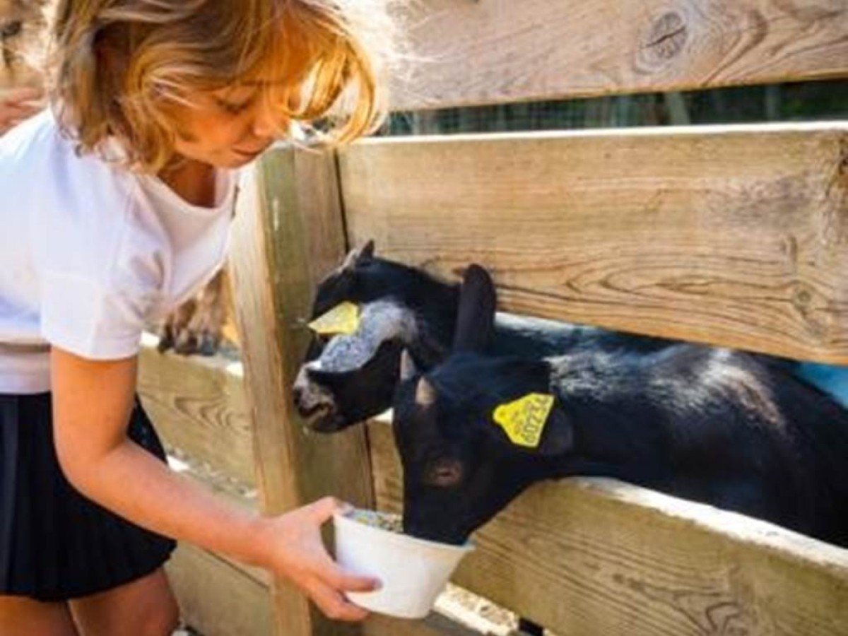Visite de la ferme enfant - Perpignan Expériences
