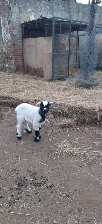 Visite de la ferme pédagogique - Perpignan Expériences