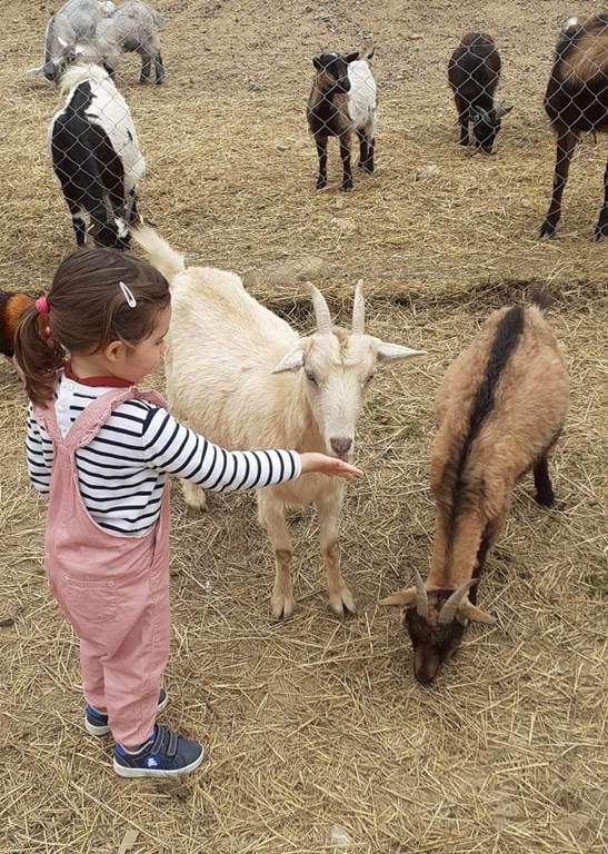 Visite de la ferme pédagogique Saint Roch à Villemolaque - Perpignan Expériences