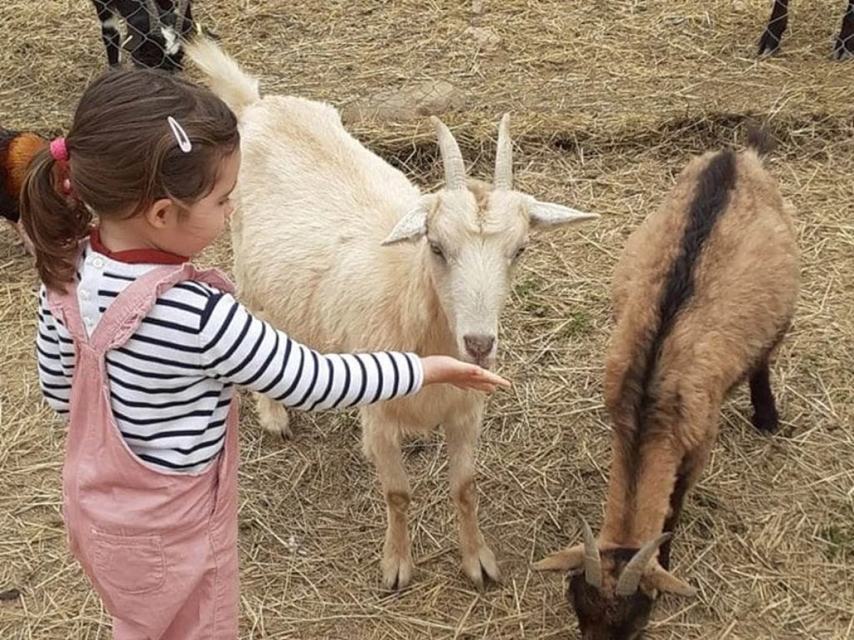 Visite de la ferme pédagogique Saint Roch à Villemolaque - Perpignan Expériences